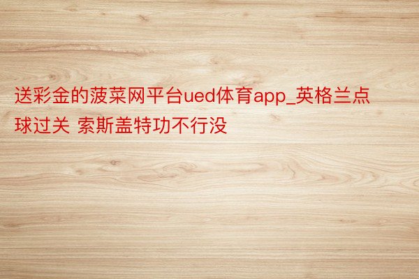 送彩金的菠菜网平台ued体育app_英格兰点球过关 索斯盖特功不行没