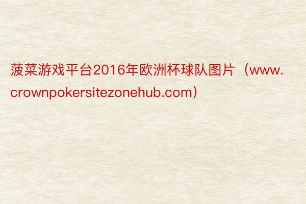 菠菜游戏平台2016年欧洲杯球队图片（www.crownpokersitezonehub.com）